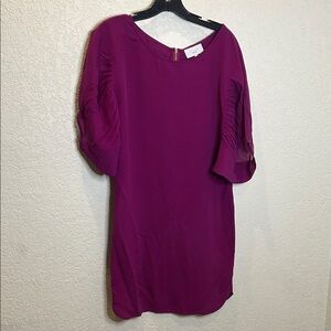 Adam Lippes Magenta Tunic or Dress with Sheer Sleeves